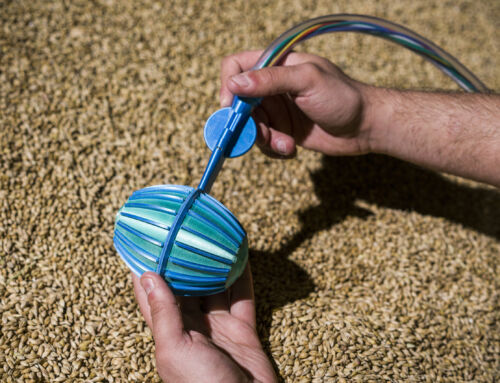 Grain-surfing robot the latest innovation to set up home at the National Robotarium