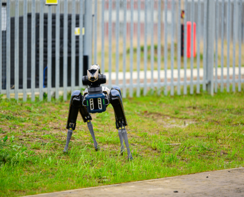 A Boston Robotics Spot robotic dog stands on a grassy area near a metal fence