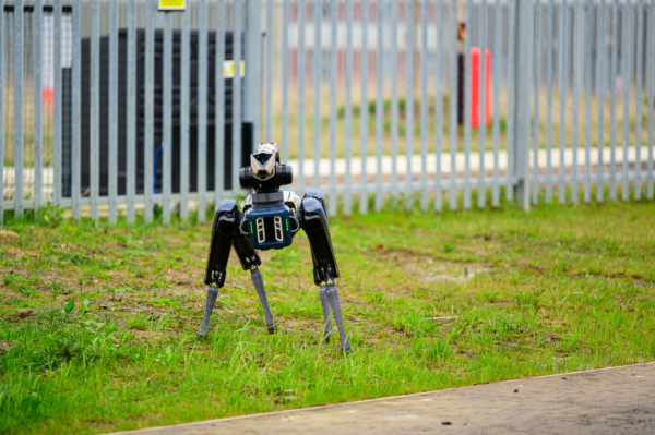 A Boston Robotics Spot robotic dog stands on a grassy area near a metal fence