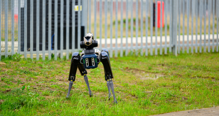 A Boston Robotics Spot robotic dog stands on a grassy area near a metal fence