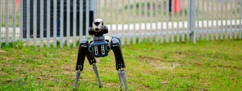 A Boston Robotics Spot robotic dog stands on a grassy area near a metal fence